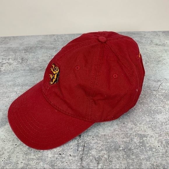 Harry Potter Gryffindor Red Gold Embroidered Adjustable Hat Cap - Picture 2 of 5